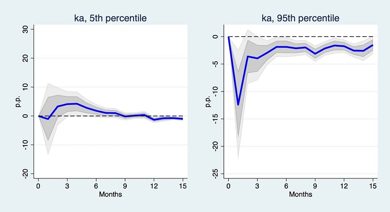 Figure 1 Term Structure: The Heterogeneous Effects of Aggregated Capital Control Index