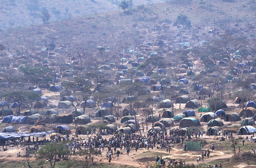 Why Do Refugees Move to Some Countries but Not Others?