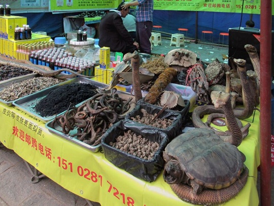 China’s Wildlife Regulations After COVID-19: Why Was “One Health” Approach Weakened?