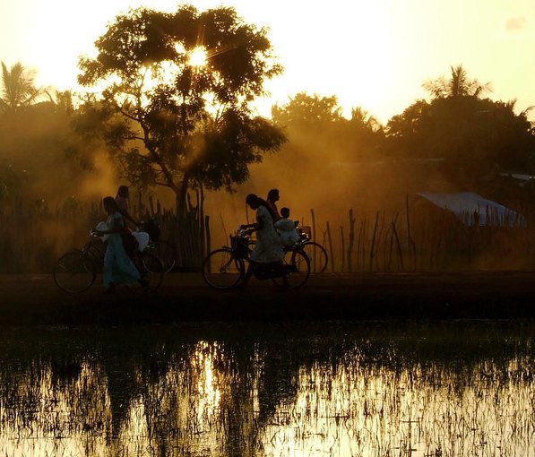 Declining Suicide Rates during the Sri Lankan Civil War