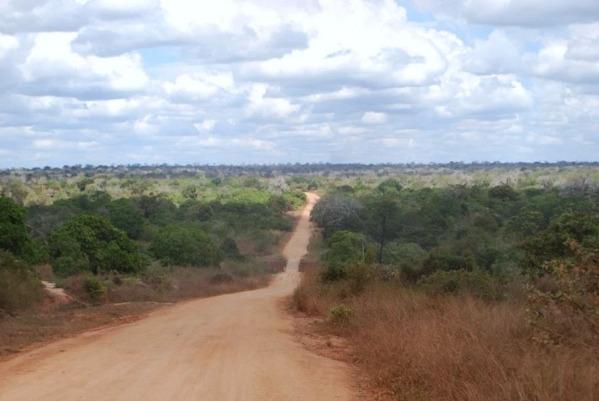 Towards the reformation of Mozambique's land laws: what you need to know