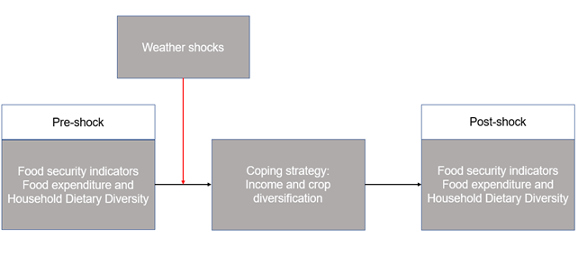 Figure 1. Conceptual Framework of Weather Shocks, Livelihood Diversification, and Household Food Security