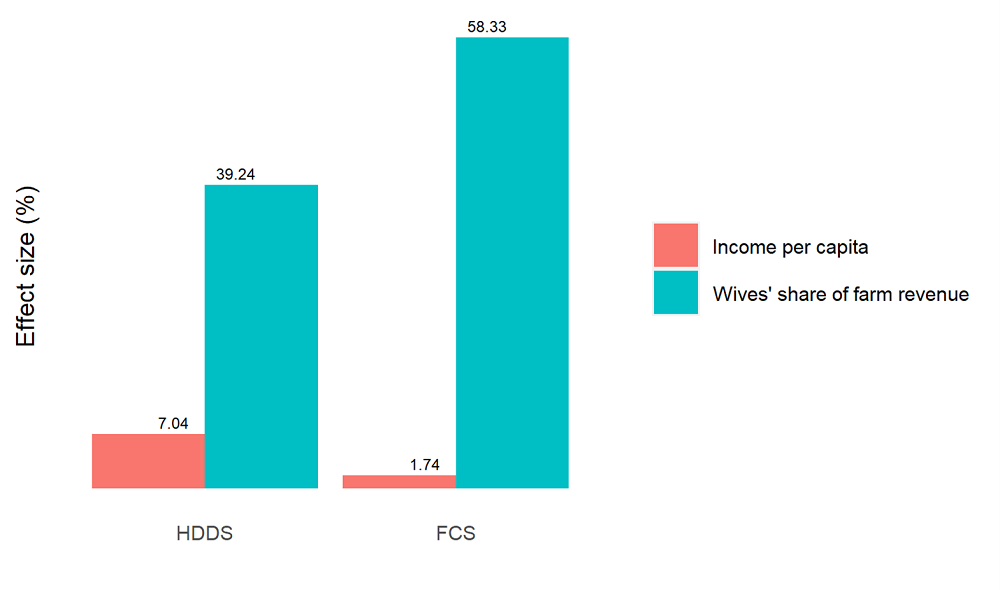 Figure 1: Effect Size When Shifting Wives’ Share of Farm Revenue from 0 to 50% on Household Dietary Diversity.