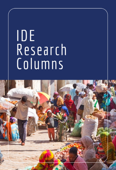 Institute of Developing Economies