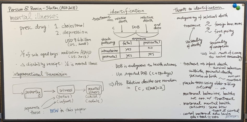 写真：Persson and Rossin-Slater論文の概要（前半）