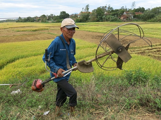 写真2　草刈り機を改造した稲刈り機。（2018年8月）