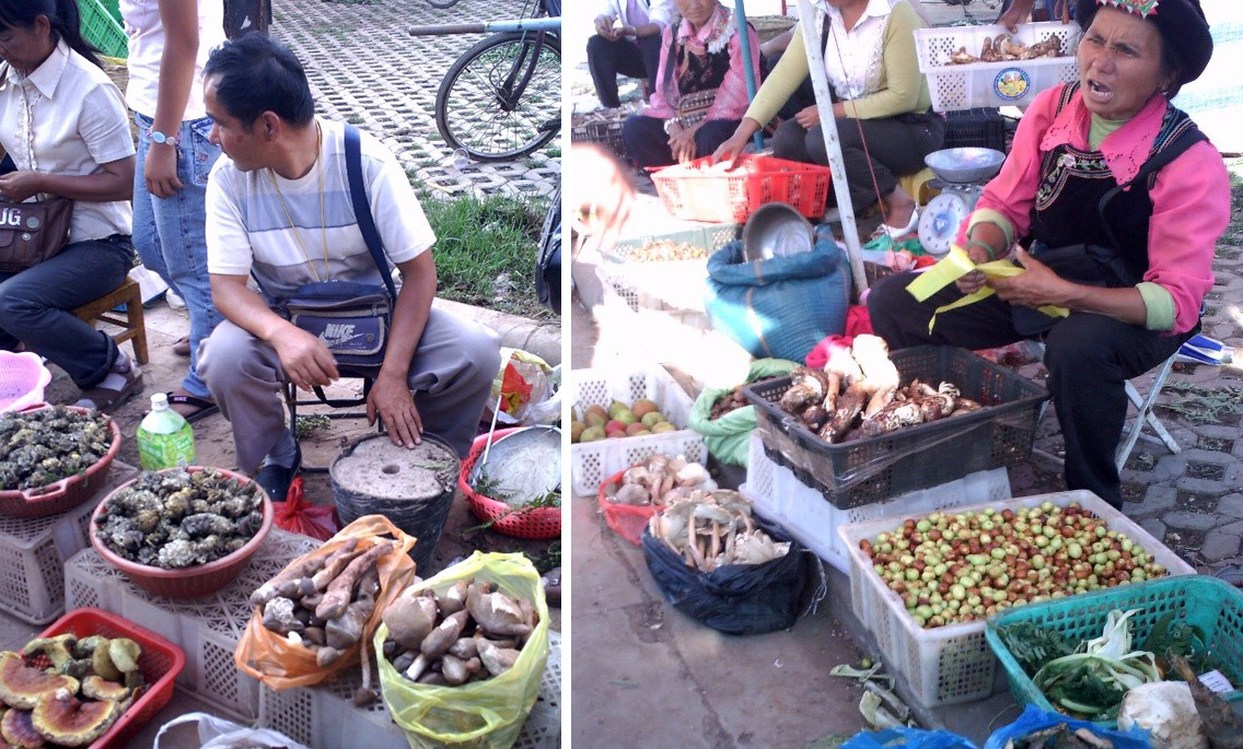 写真2　南華県城の卸売市場に並ぶキノコ（左）、少数民族の女性が売っているのはキノコだけでなくナツメ、スモモなど多様な林産物（右）。南華県城の卸売市場にて。