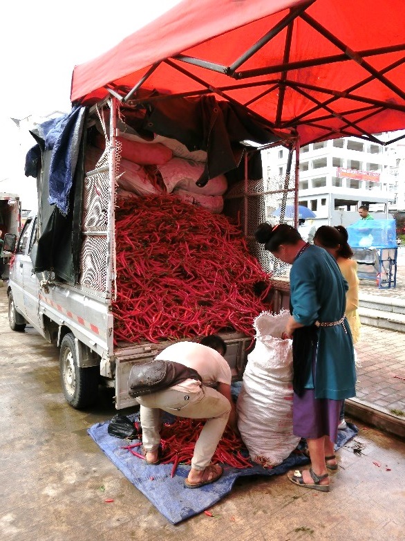 写真1　貴州料理といえば唐辛子。市場で見かけた、トラック一杯に積み込まれた真っ赤な唐辛子。