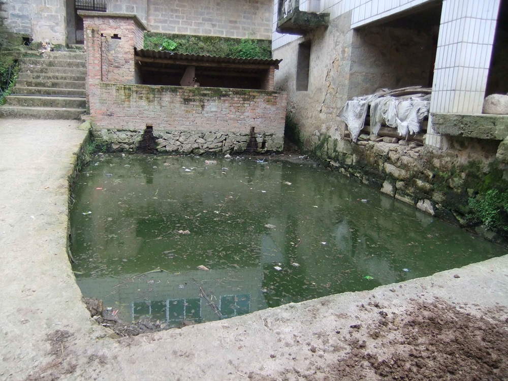 写真4　家の外にある豚小屋から出る排泄物を貯める貯留池。集落内を流れる水路につながっており、季節ごとに棚田へと放出される。