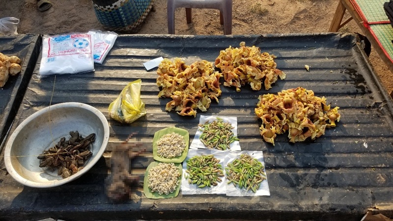 写真２　セポンの市場で販売されている森林から採ってきた副食の食材