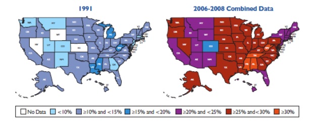 図1 成人の肥満率の推移と分布（州別）
