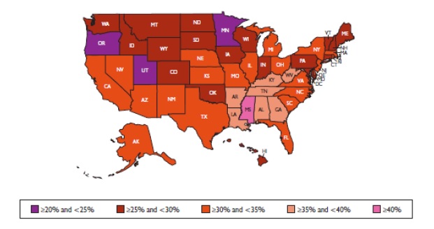 図2 青少年（10～17歳）の肥満率の州別分布（2007年現在）