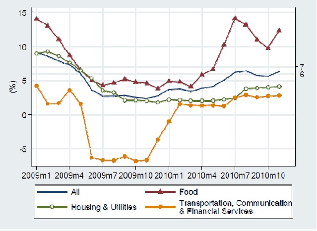 図3：インフレ率の推移（前年同月比、2009年1月～2010年11月）