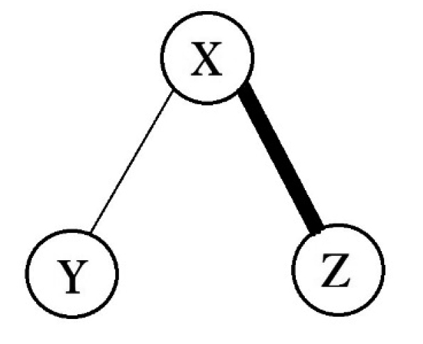 図2　構造的空隙