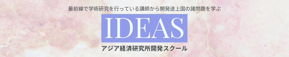 イデアス（IDEAS）研修プログラム
