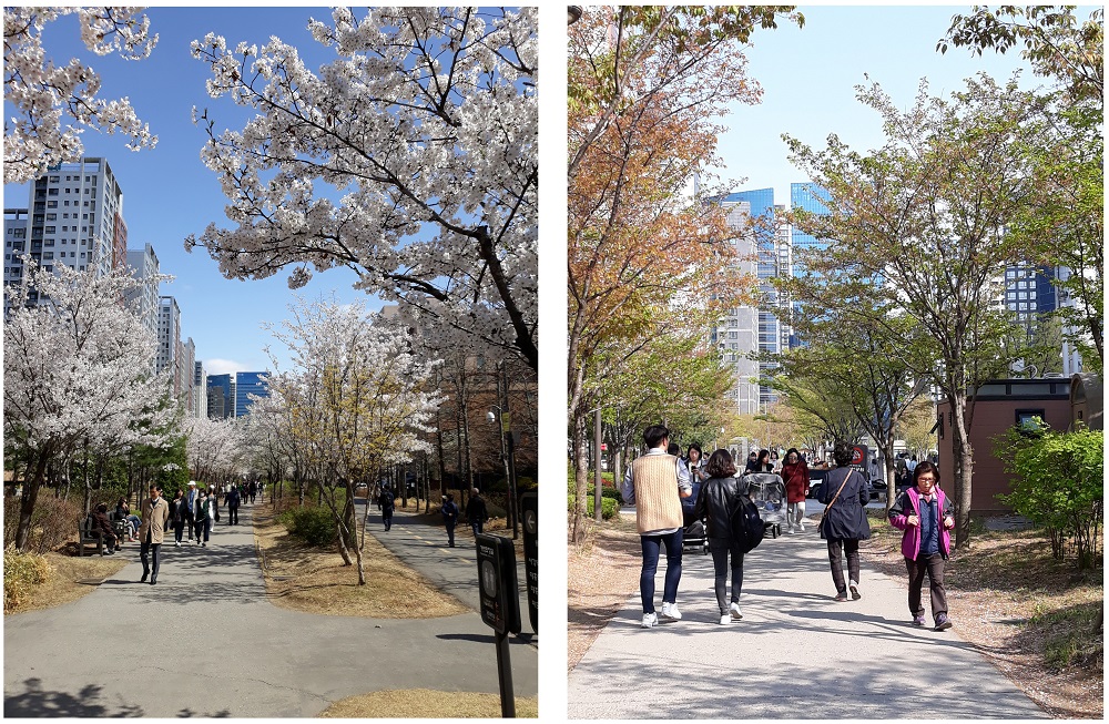 写真1　京義線スッキル公園