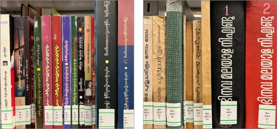写真1　ビルマ語図書（左）とマラヤーラム語図書（右）。