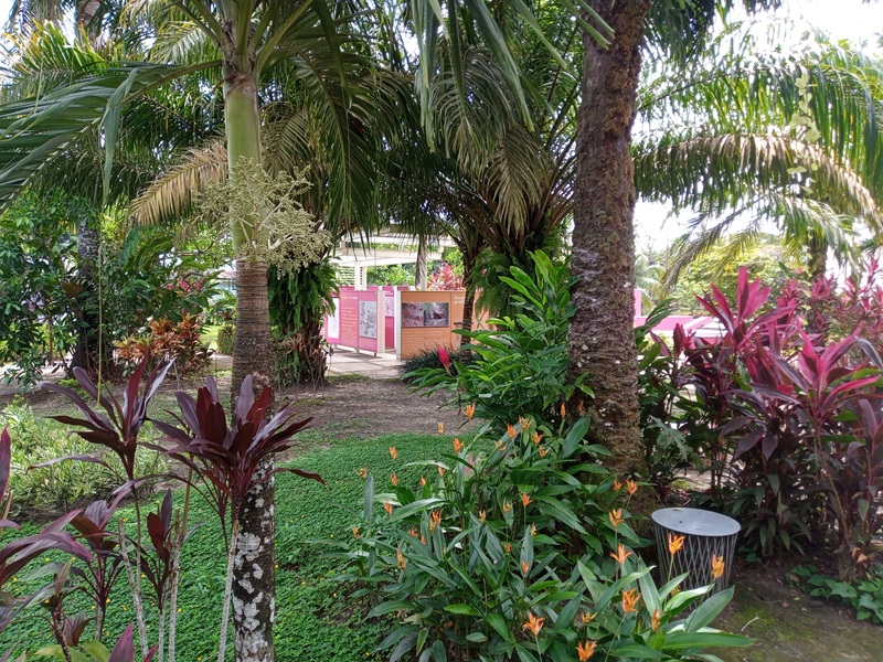 写真3：レティシアにある共和国銀行民族博物館の屋外スペース。中央奥が展示の一部。