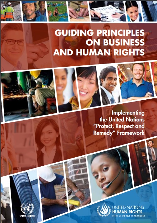書籍：ビジネスと人権に関する国連指導原則