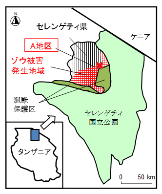 図1　セレンゲティ県においてゾウ被害が発生している地域（A地区は事例地）