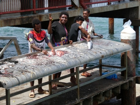 写真②：ポートモレスビーのコキ魚市場（筆者撮影2025年11月）