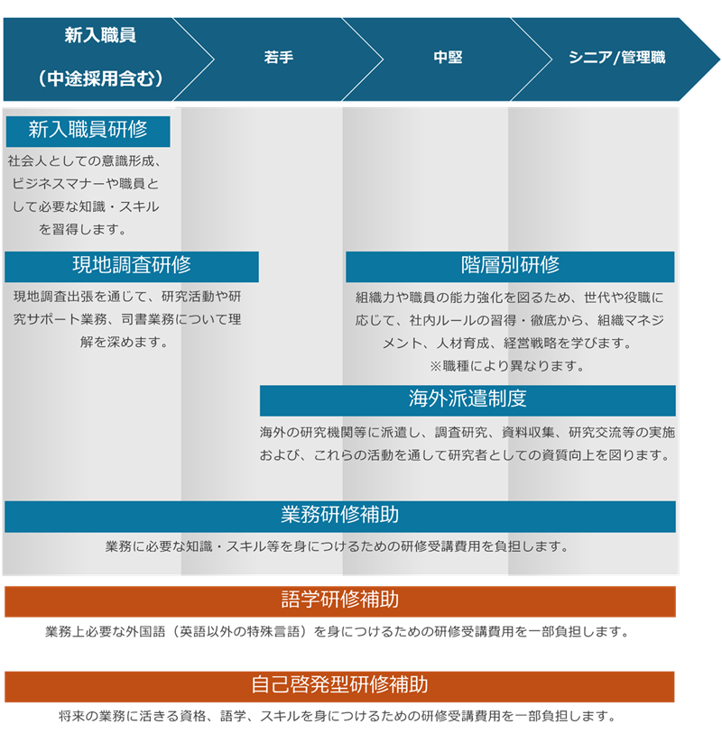 新入職員研修、現地調査研修、階層別研修、海外派遣制度、業務研修補助、語学研修補助、自己啓発型研修補助