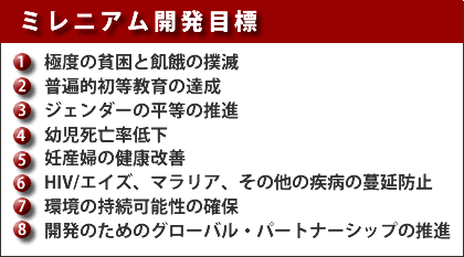 ミレニアム開発目標