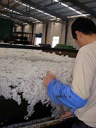 写真：輸入された廃ペットボトルから製造された綿。中国広東省、2007年1月撮影