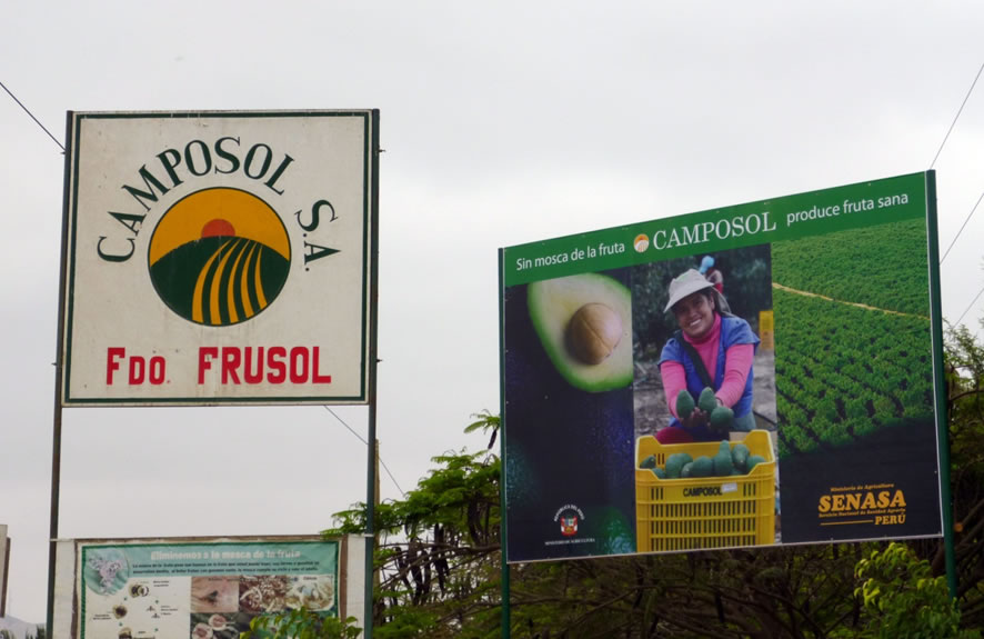 写真2　Fursol農場入り口の看板。右側の看板にはSENASAや政府のロゴが入り 「ミバエがいない丈夫なアボカドを生産」と書いてある。 