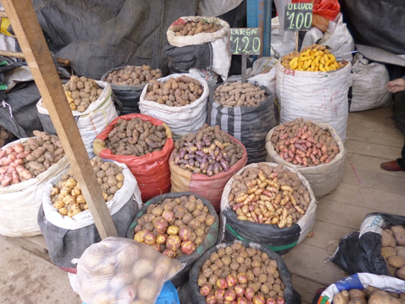 ワンカベリカ市の市場で販売されるジャガイモ類。