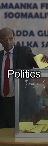 Politics